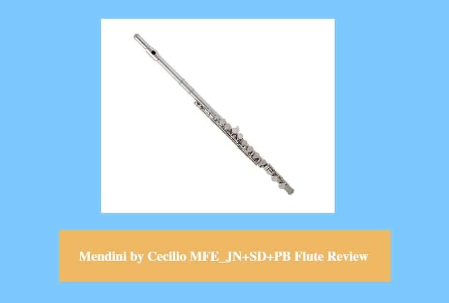 Mendini by Cecilio MFE_JN+SD+PB flute Review