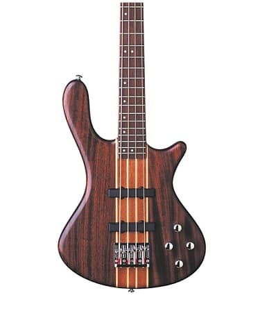 Washburn T24NMK