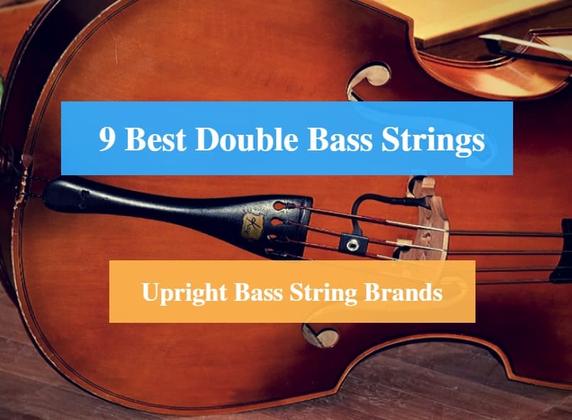 Best Double Bass Strings, Best String for Double Bass & Best Upright Bass String Brands