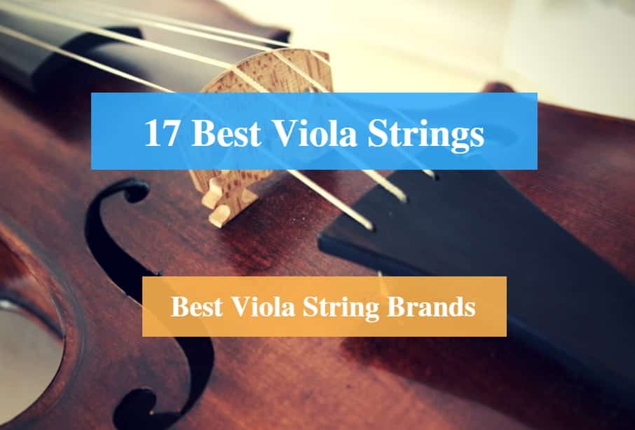 Best Viola Strings, Best String for Viola & Best Viola String Brands