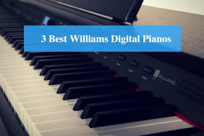 Best Williams Digital Piano & Best Williams Keyboard