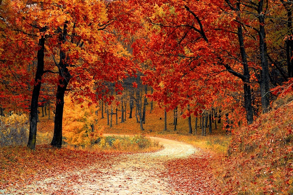 Classical Music about Autumn