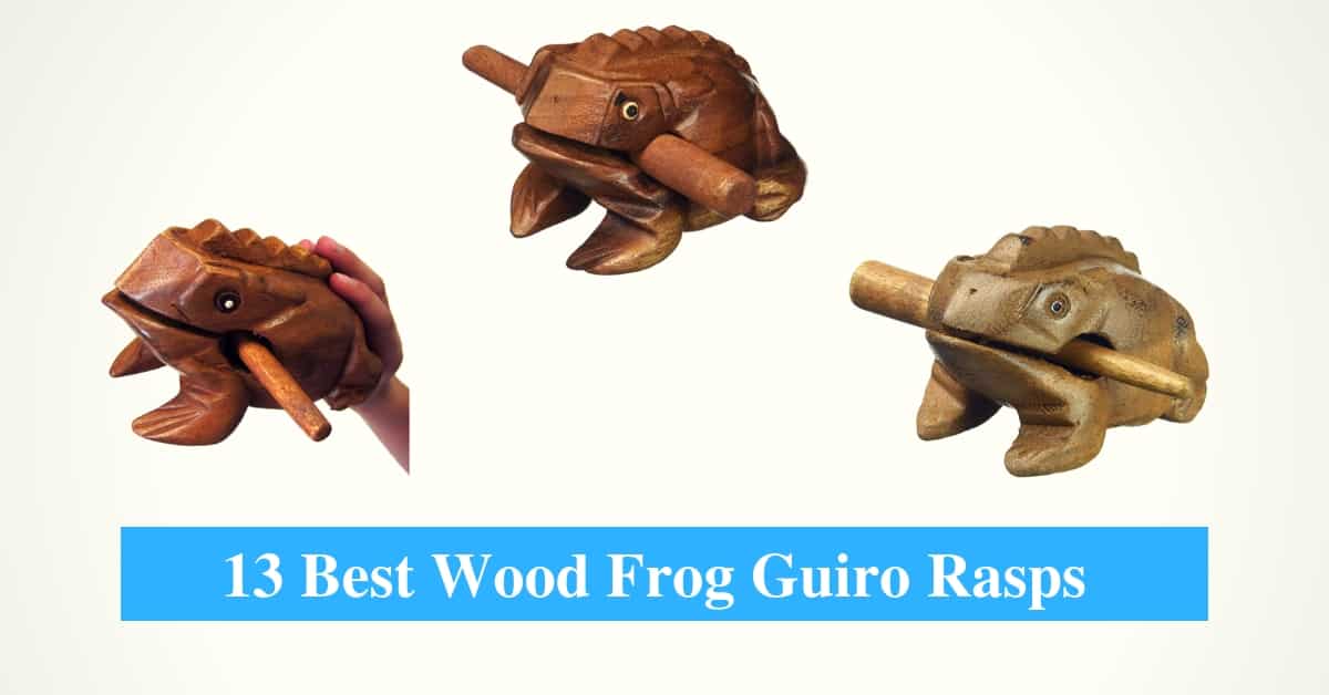 Best Wood Frog Guiro Rasps