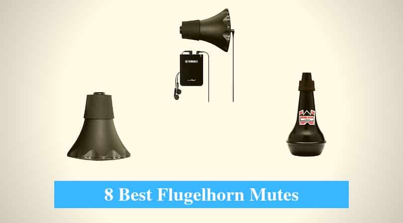 Best Flugelhorn Mutes & Best Practice Mute for FlugelHorn