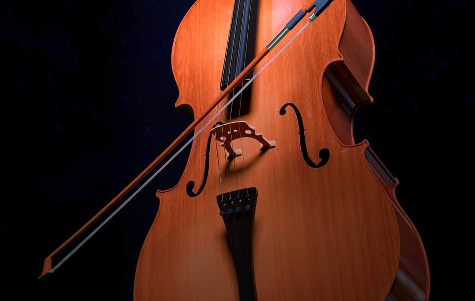 Reasons Learn to Play the Cello