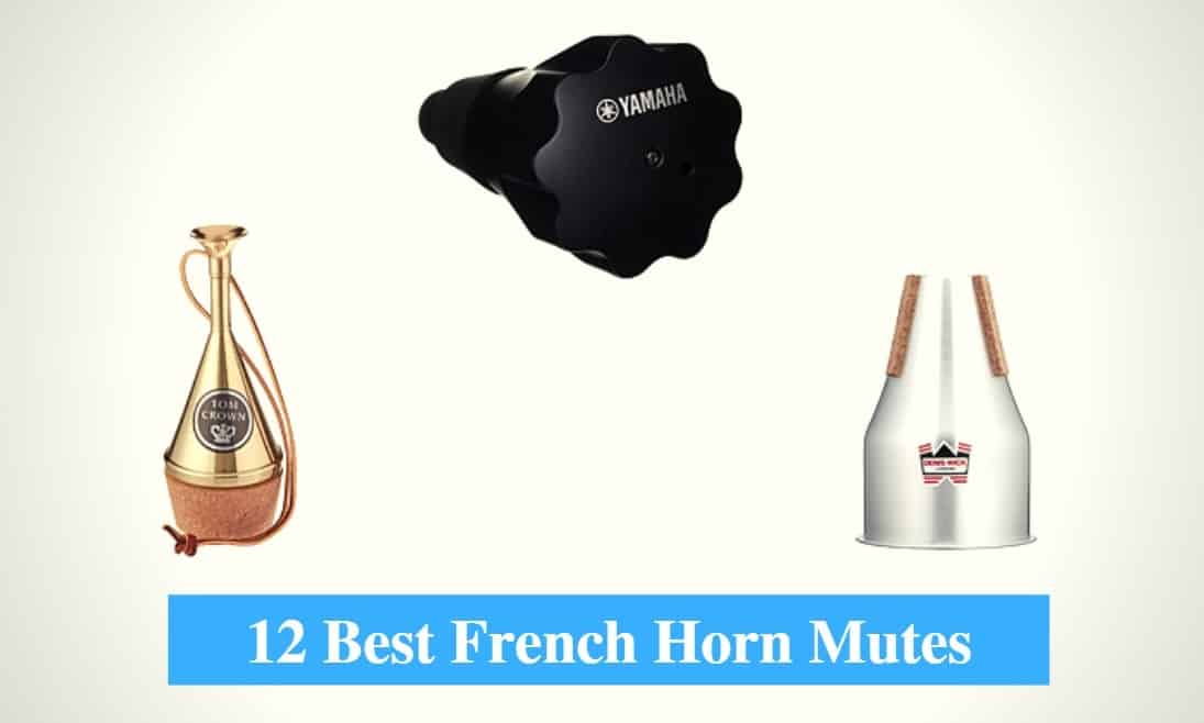 Best French Horn Mute & Best Practice Mute For French Horn