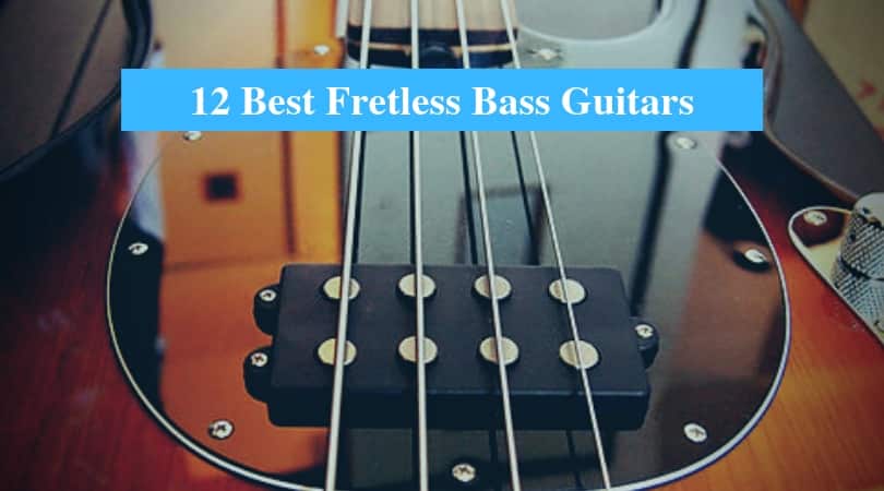 Best Fretless Bass Guitars & Best Brands for Fretless Bass Guitar