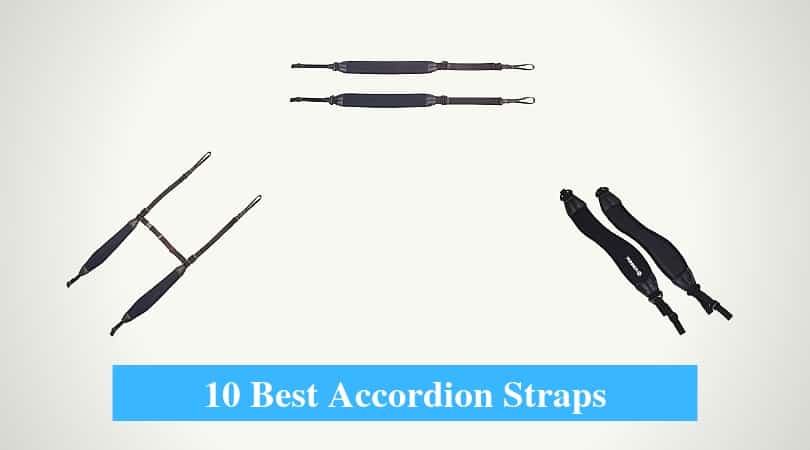 Best Accordion Straps, Accordion Shoulder & Back Straps