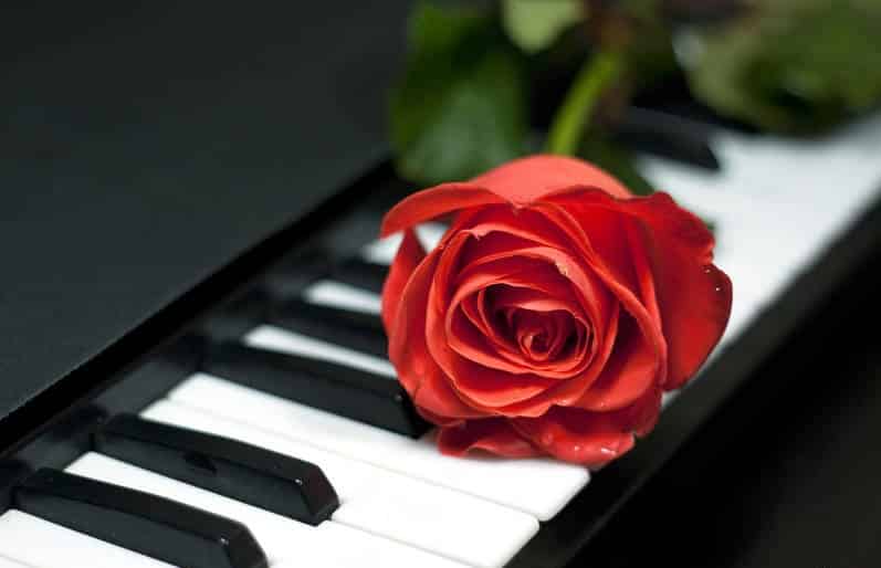 7 Soft and Relax Piano Music You Should Listen To - CMUSE