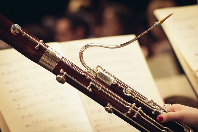 Best Bassoon & Best Bassoon Brands