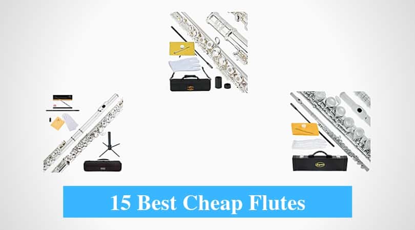 Best Cheap Flute & Best Budget Flute 