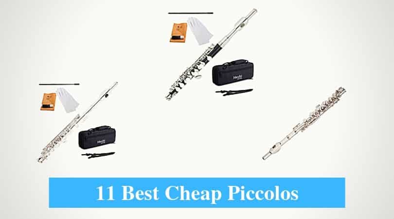 Best Cheap Piccolo & Best Budget Piccolo