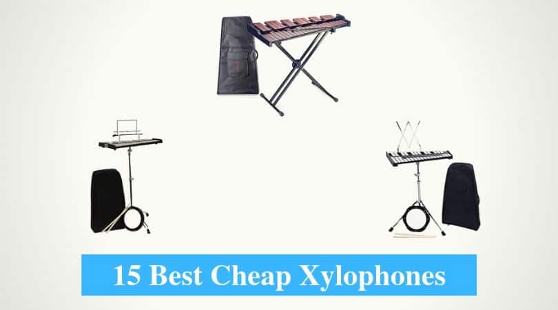 Best Cheap Xylophone & Best Budget Xylophone