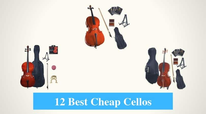 Best Cheap Cello & Best Budget Cello