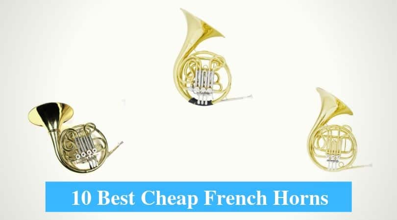 Best Cheap French Horn & Best Budget French Horn