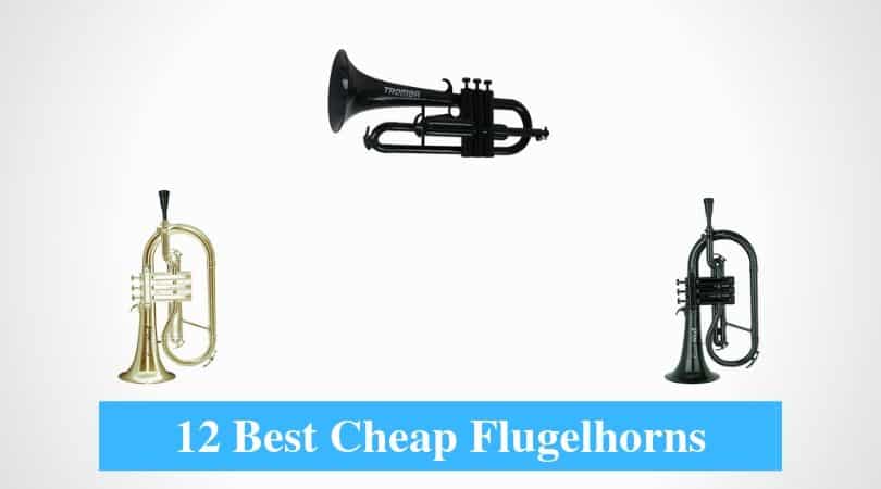 Best Cheap Flugelhorn & Best Budget Flugelhorn