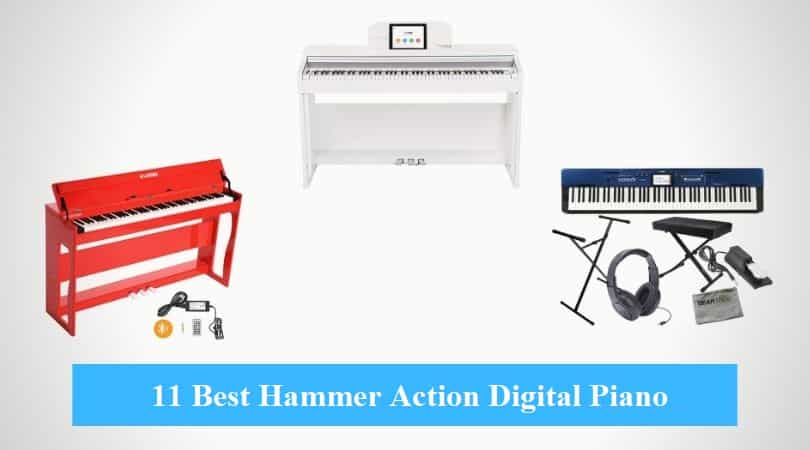 Best Hammer Action Digital Piano