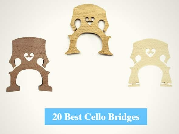 Best Cello Bridges