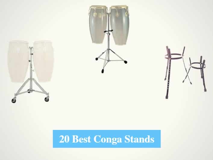 Best Conga Stands