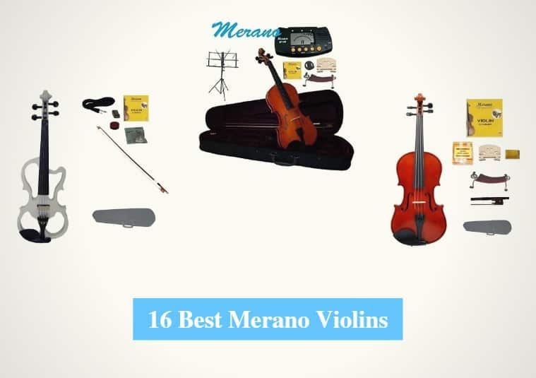 Best Merano Violins