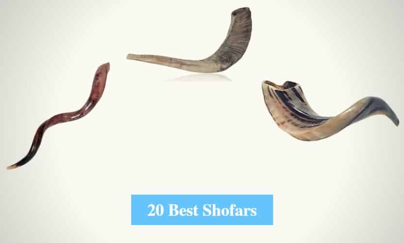 Best Shofars