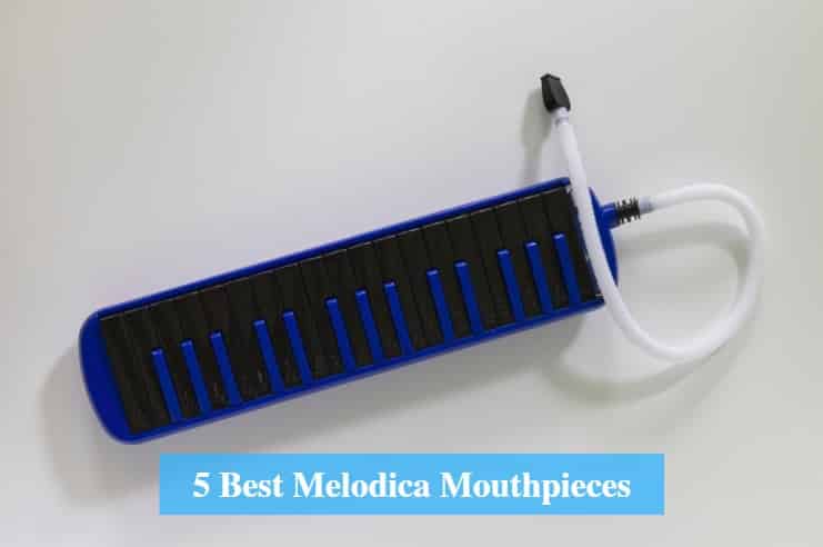 Best Melodica Mouthpieces