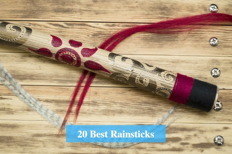 Best Rainsticks