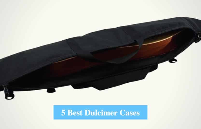 Best_Dulcimer_Cases
