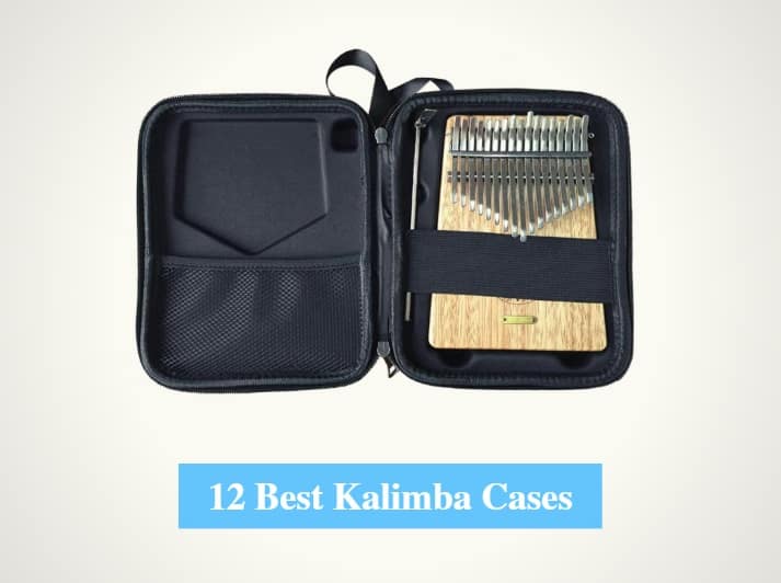 Best_Kalimba_Cases