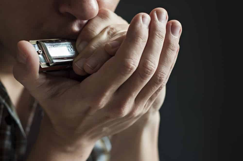 How to Learn Harmonica at Home by Yourself