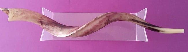 aJudaica Acrylic Shofar Stand