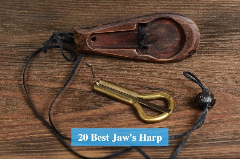 Best Jaw's Harp