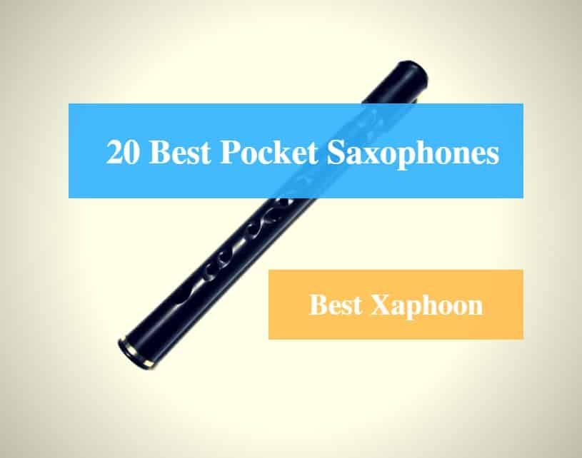 Best Pocket Saxophone, Best Xaphoon, Best Pocket Saxophone Brands