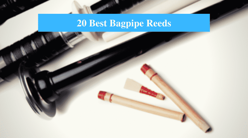 Best Bagpipe Reed