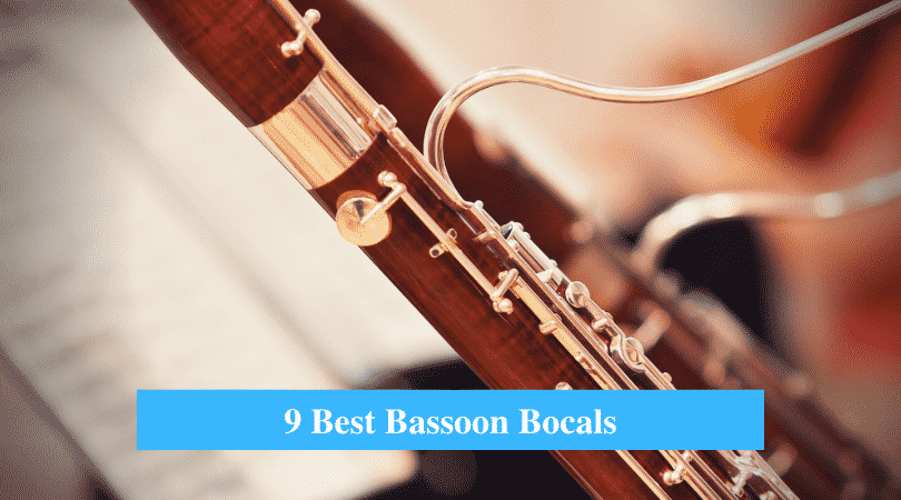 Best Bassoon Bocals