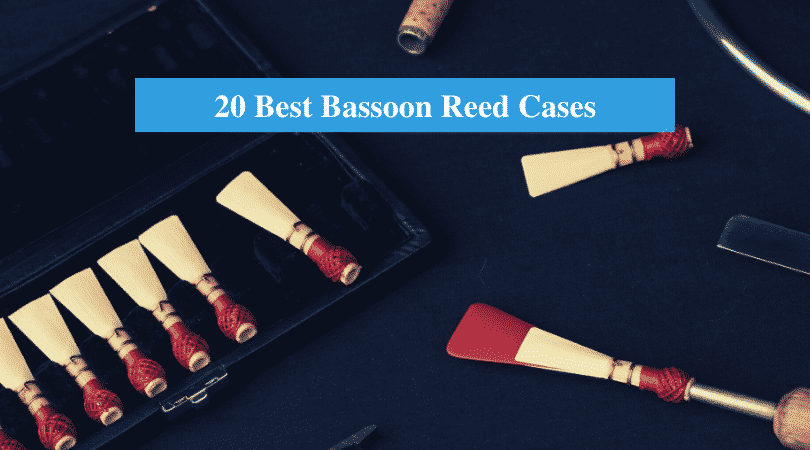 Best Bassoon Reed Cases