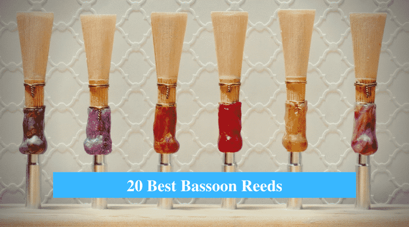 Best Bassoon Reeds