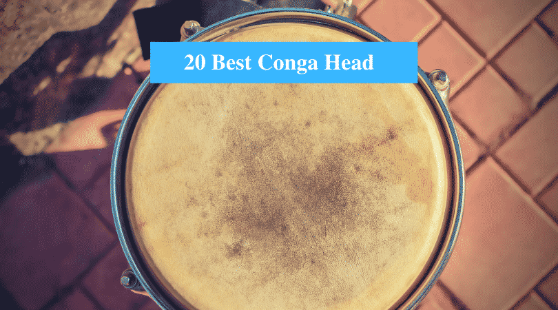 Best Conga Head