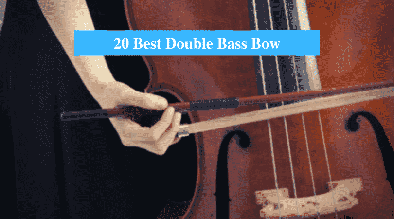 Best Double Bass Bow