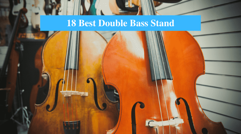 Best Double Bass Stand