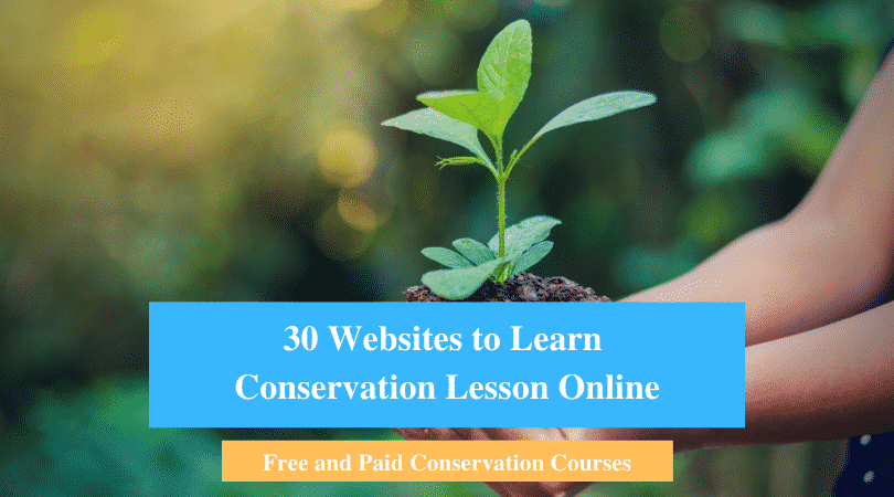 Learn Conservation Lesson Online