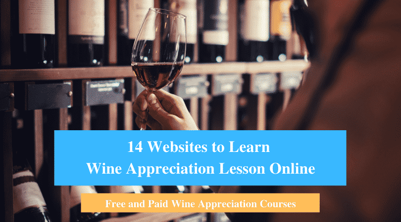 Learn Wine Appreciation Lesson Online