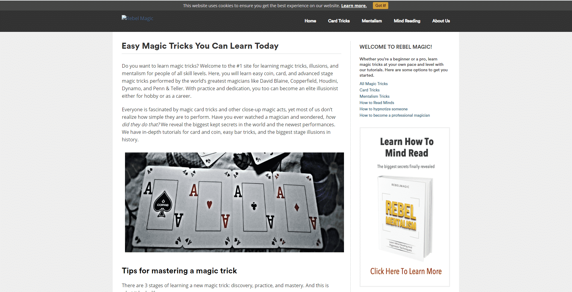 Rebel Magic Learn Magic Lessons Online