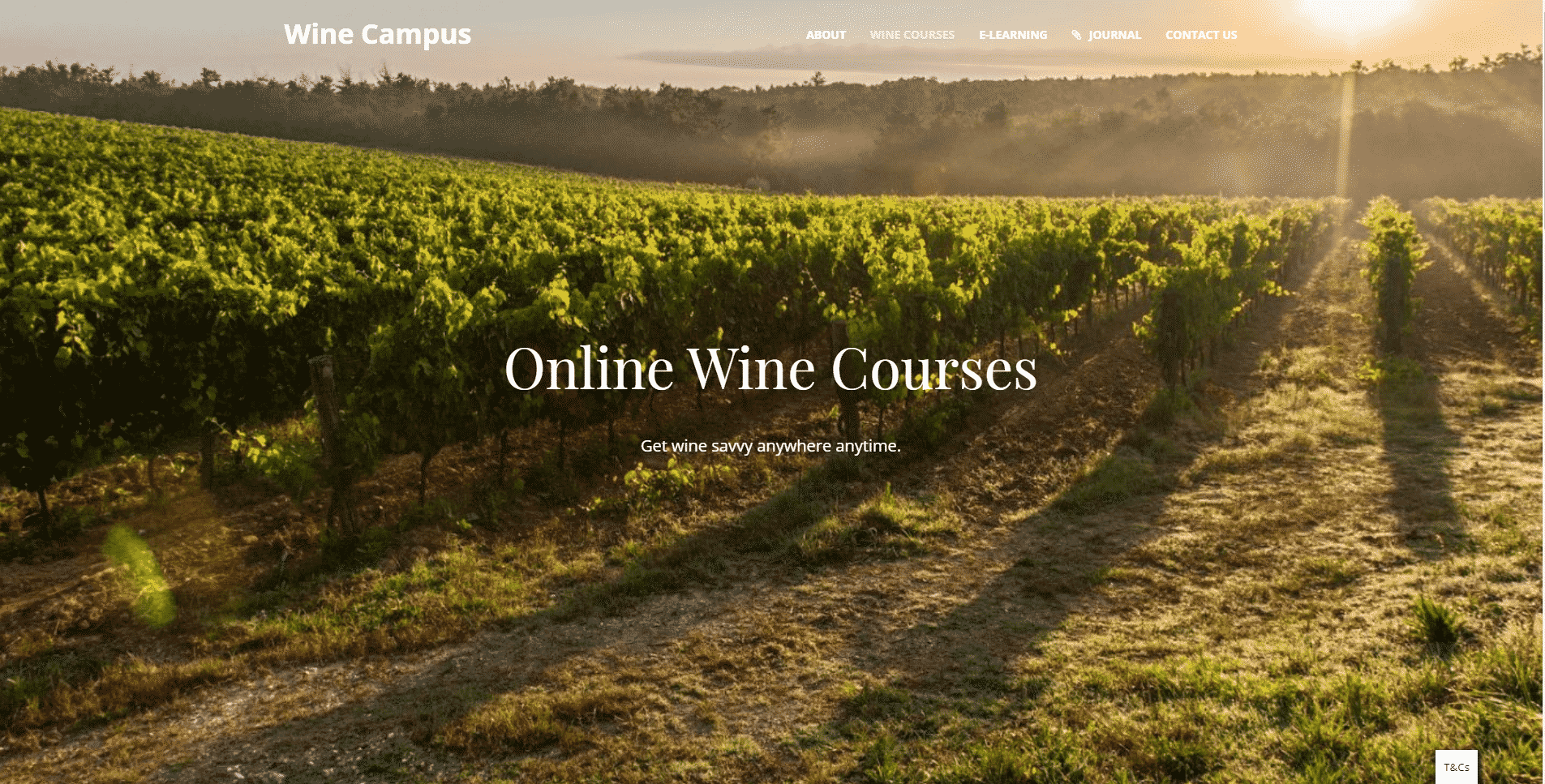 Wine Campus Learn Wine Appreciation Lessons Online