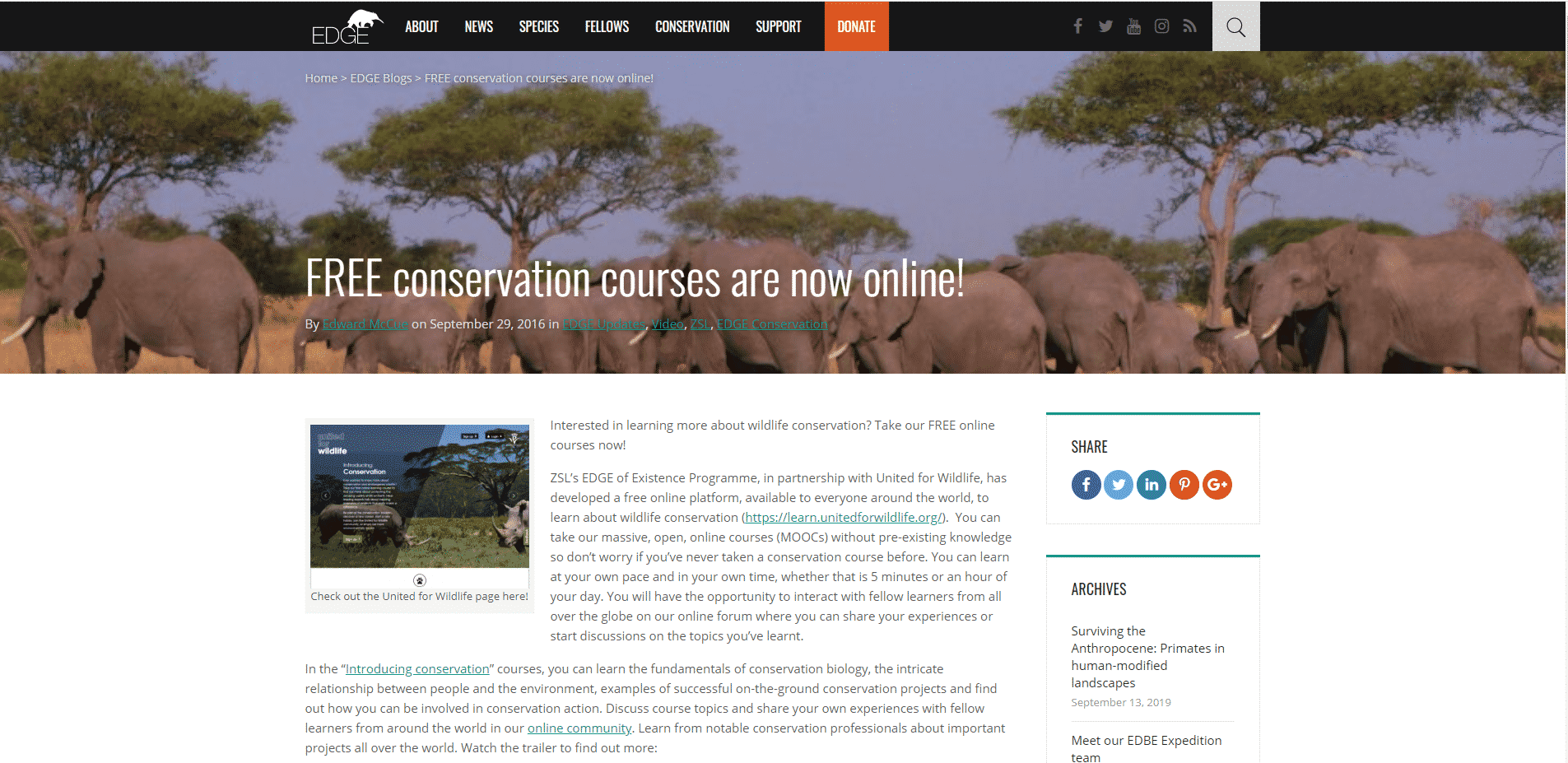 edgeofexistence Learn Conservation Lessons Online