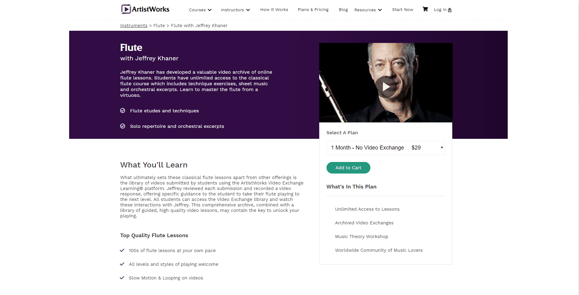 ArtistWorks Flute Lesson Online