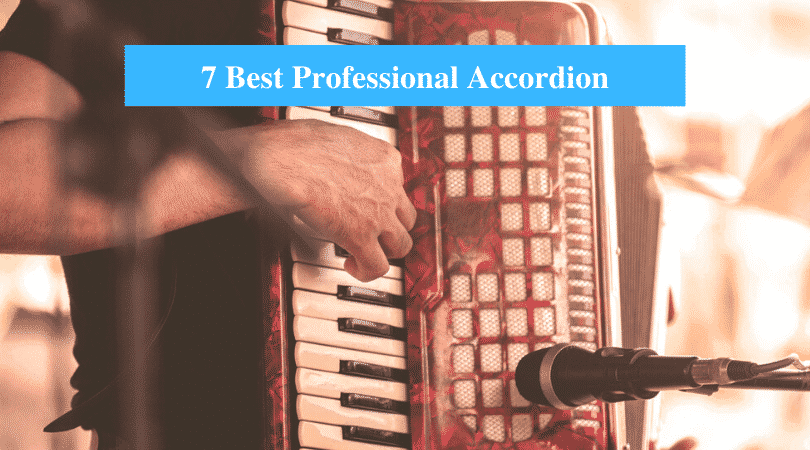 Best Professional Accordion