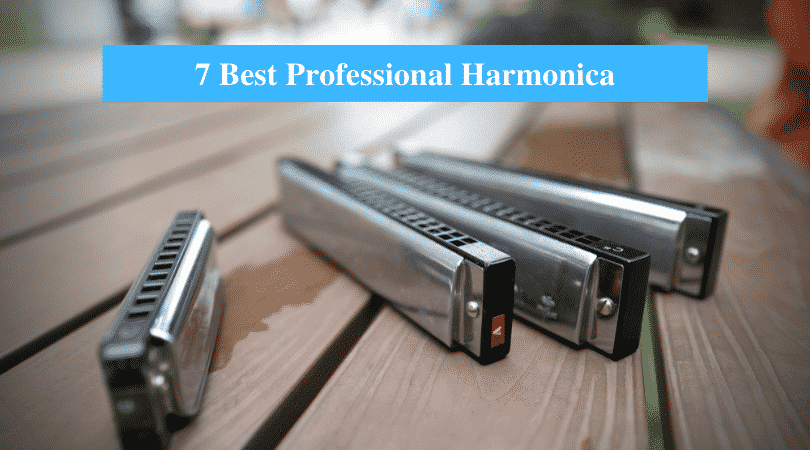 Best Professional Harmonica