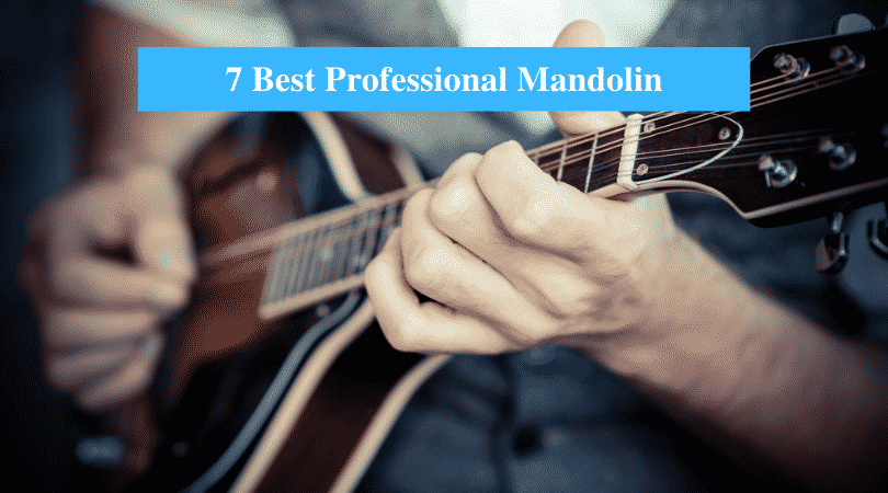 Best Professional Mandolin