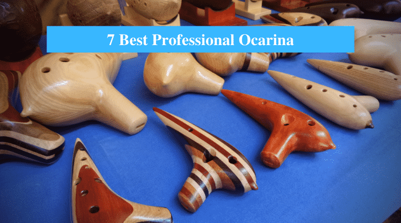 Best Professional Ocarina